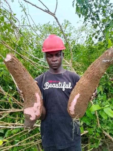 482217572 614273421581980 984524681139642381 n