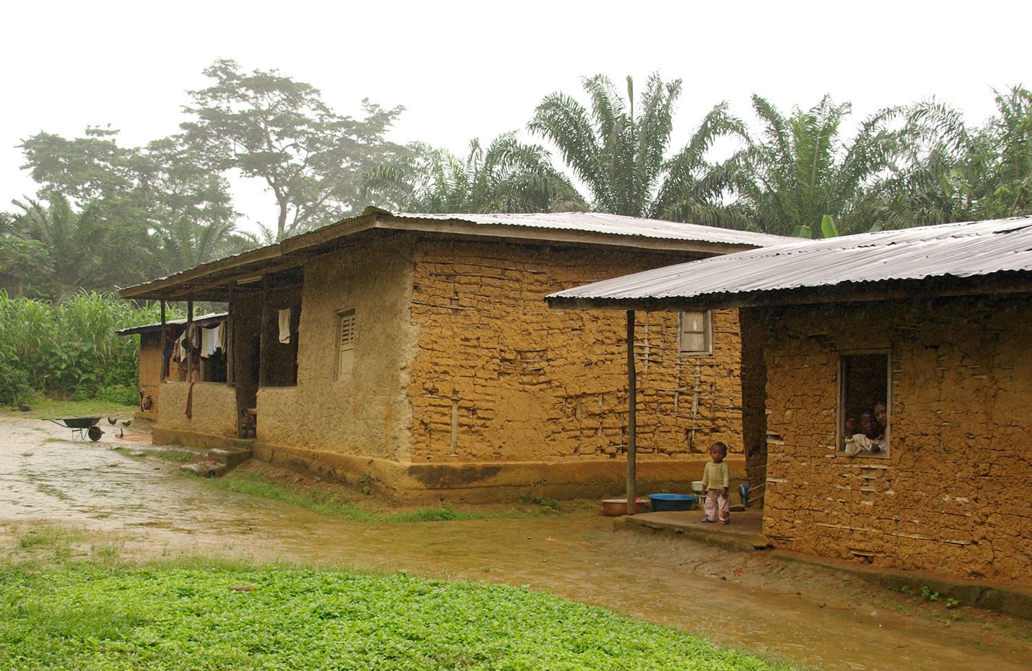 485370231 1066123025535899 511423594376172718 n