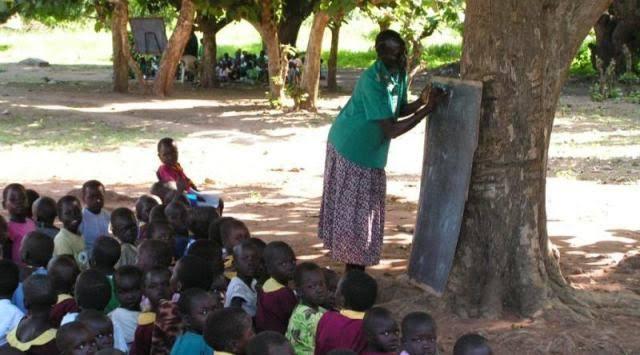 amidera education formation