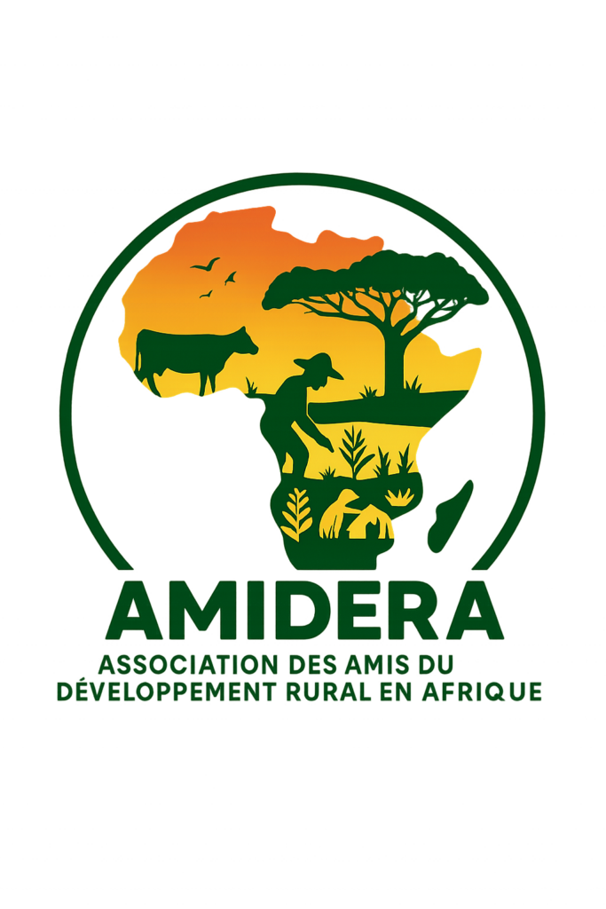 logo amidera transparent
