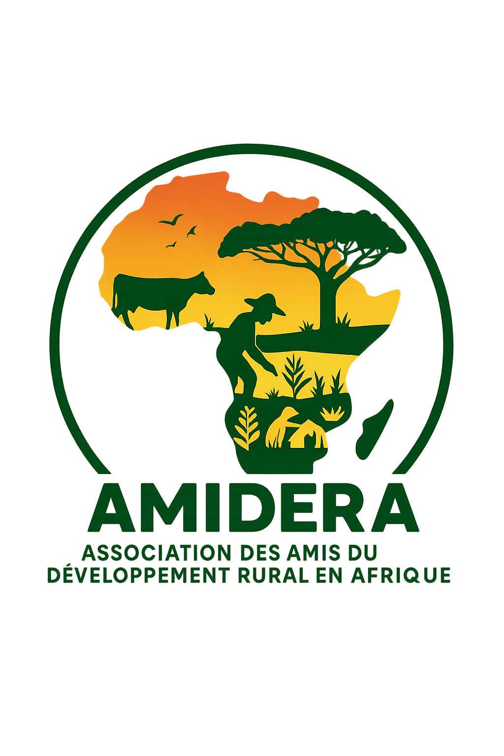 AMIDERA logo amidera transparent